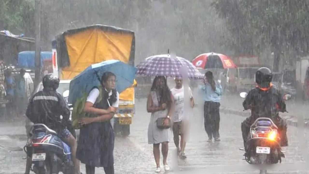 Heavy Rain Alert