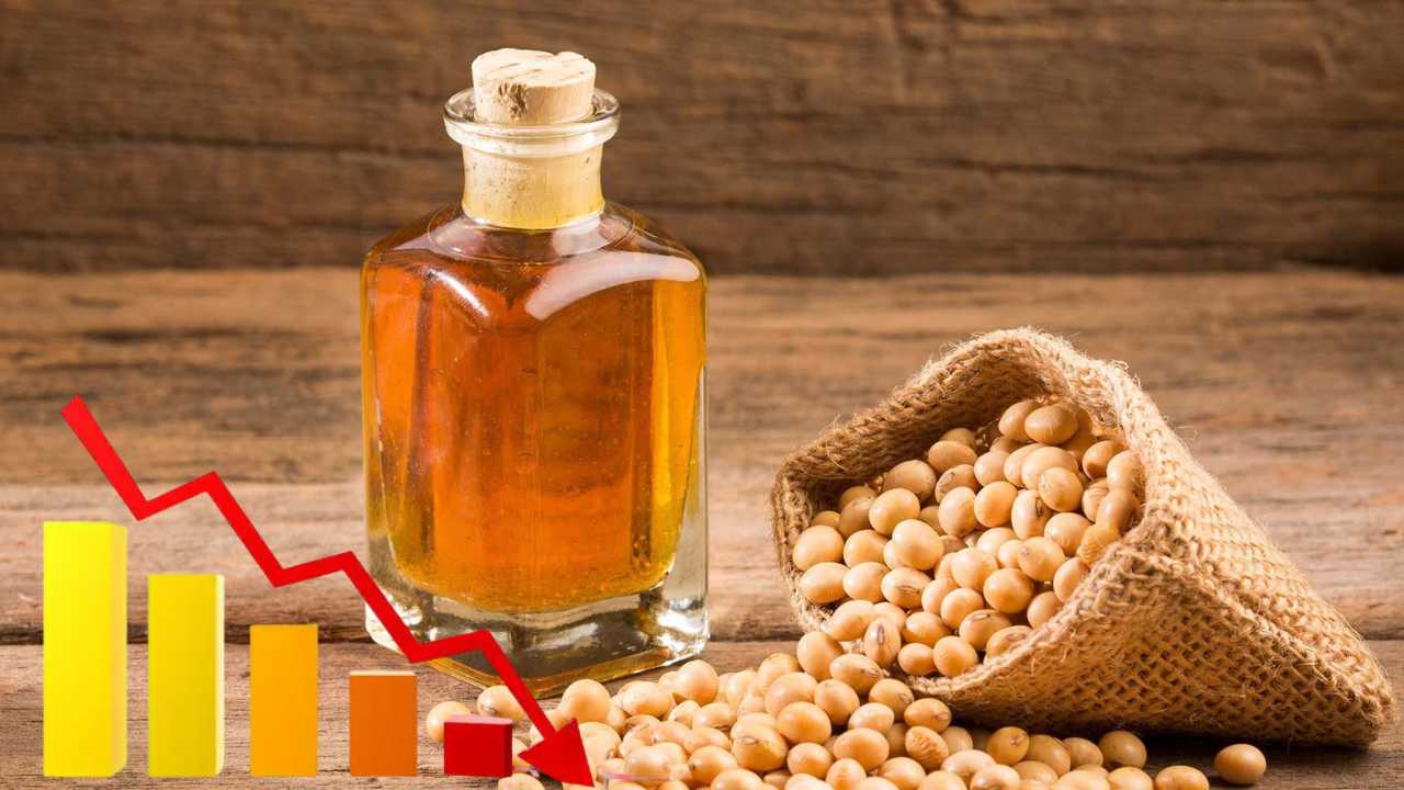 Soybean Refined Oil Prices