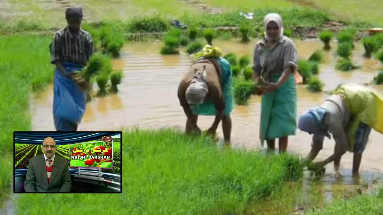 TV Show Krishi Darshan