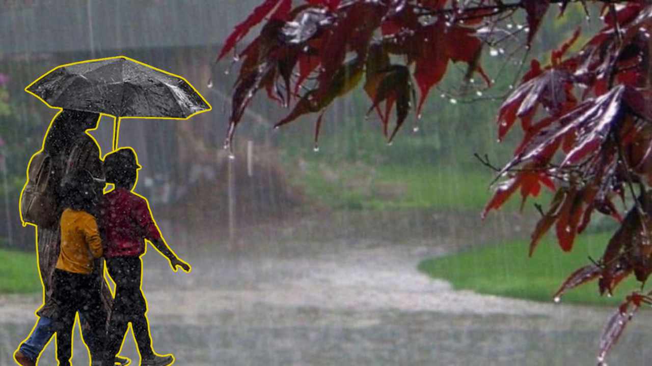 Weather Update